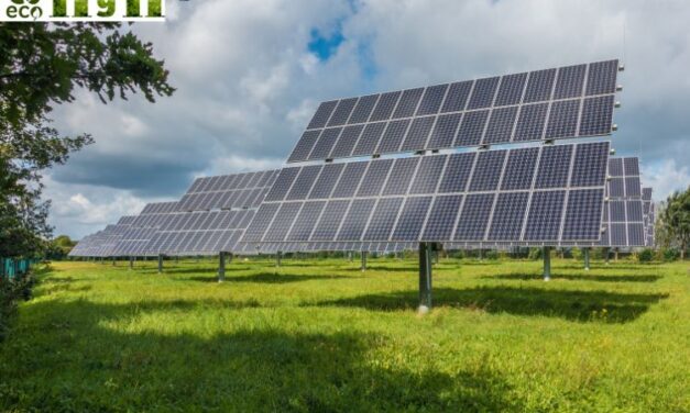 An Introduction to Ground Source Heat Pumps