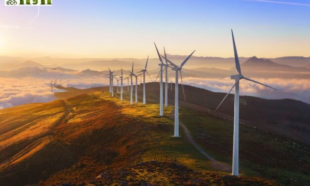Solar Power and ECO3: Is It an Option?