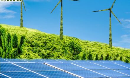 Renewable District Heating: What You Need to Know